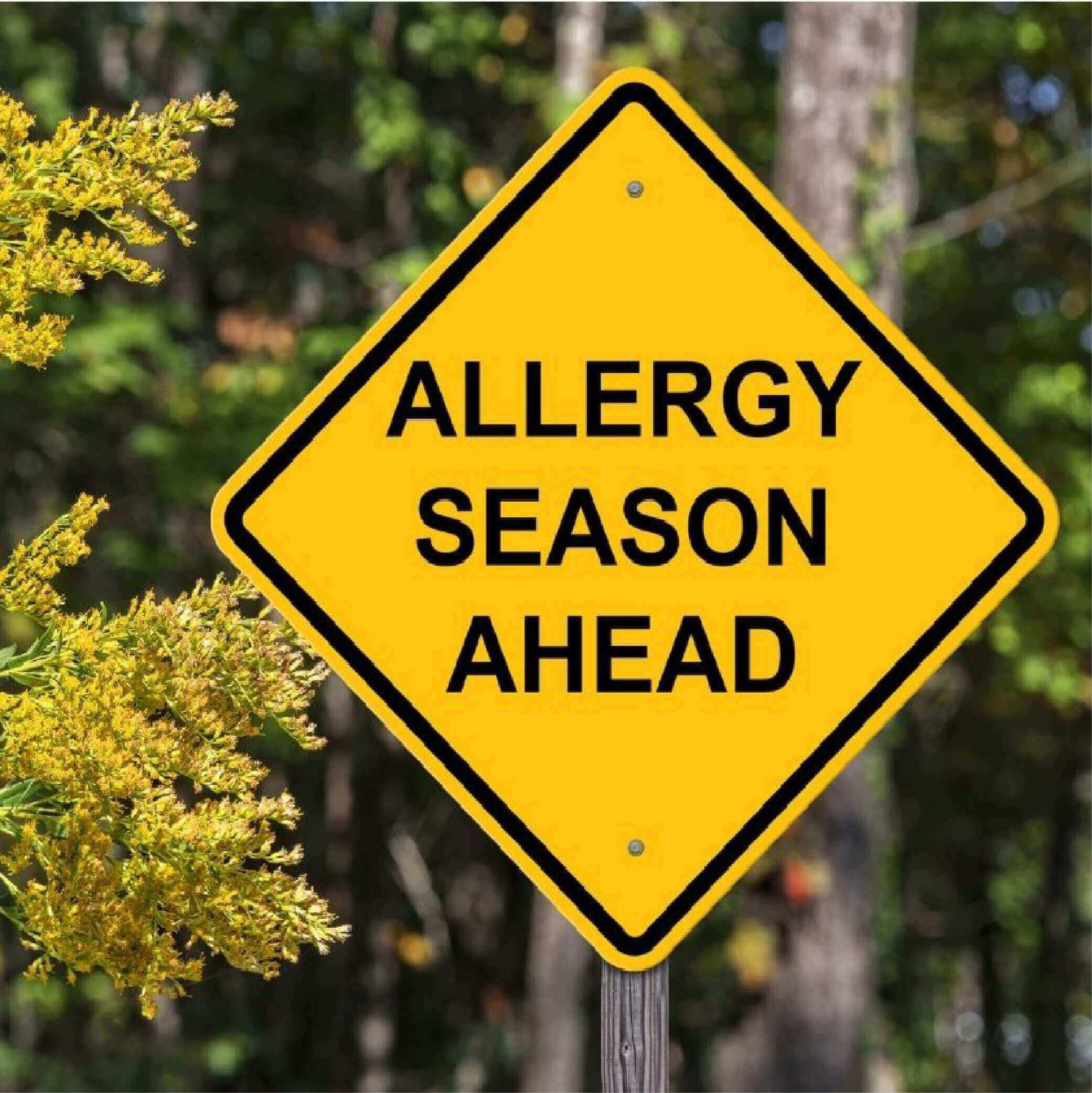 Hay fever Injection (Kenalog)